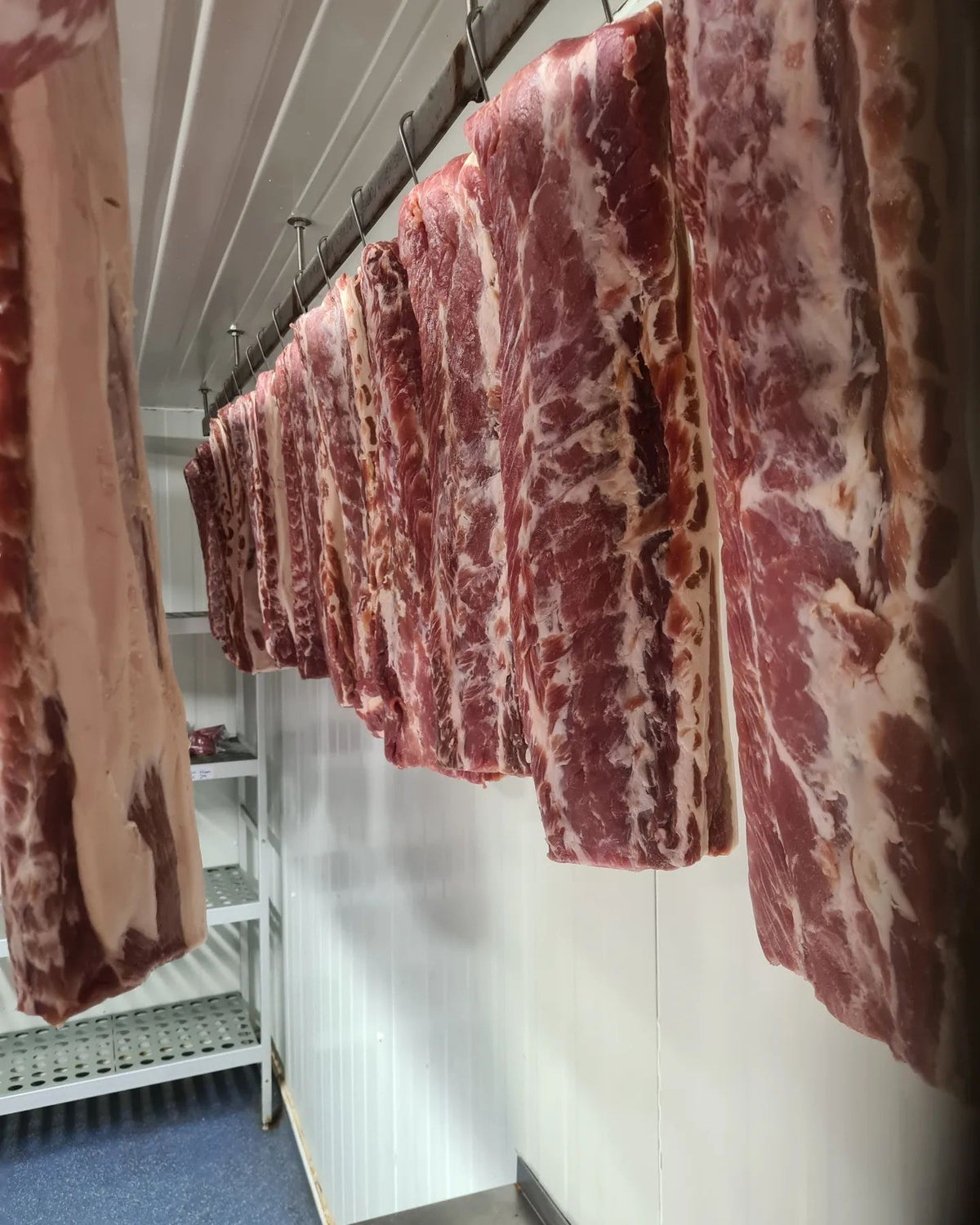 Back Bacon